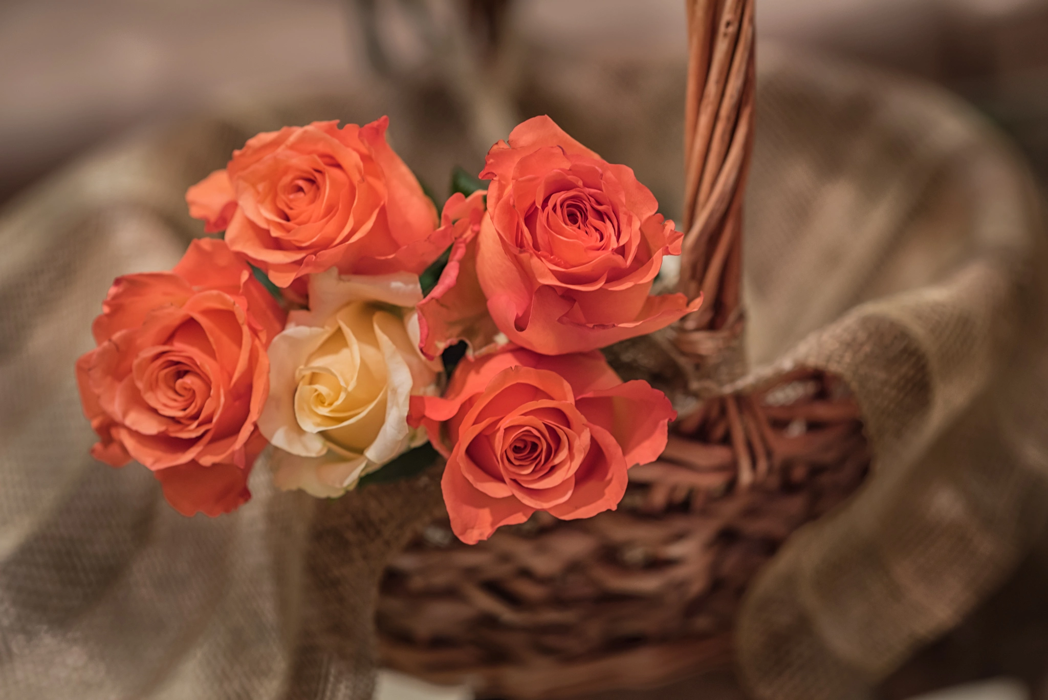 13D12SC_2307-Edit