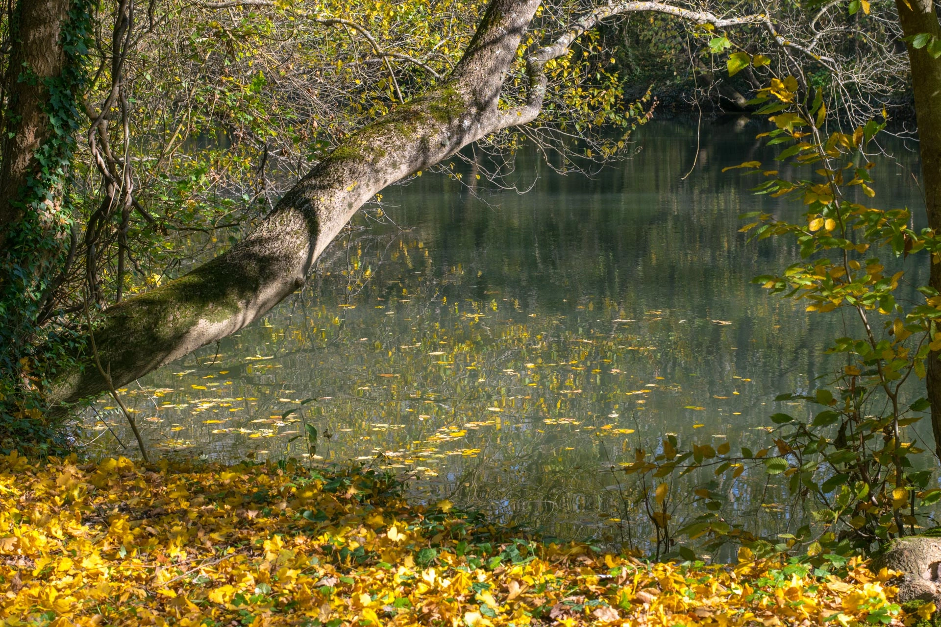 13DSC_0025
