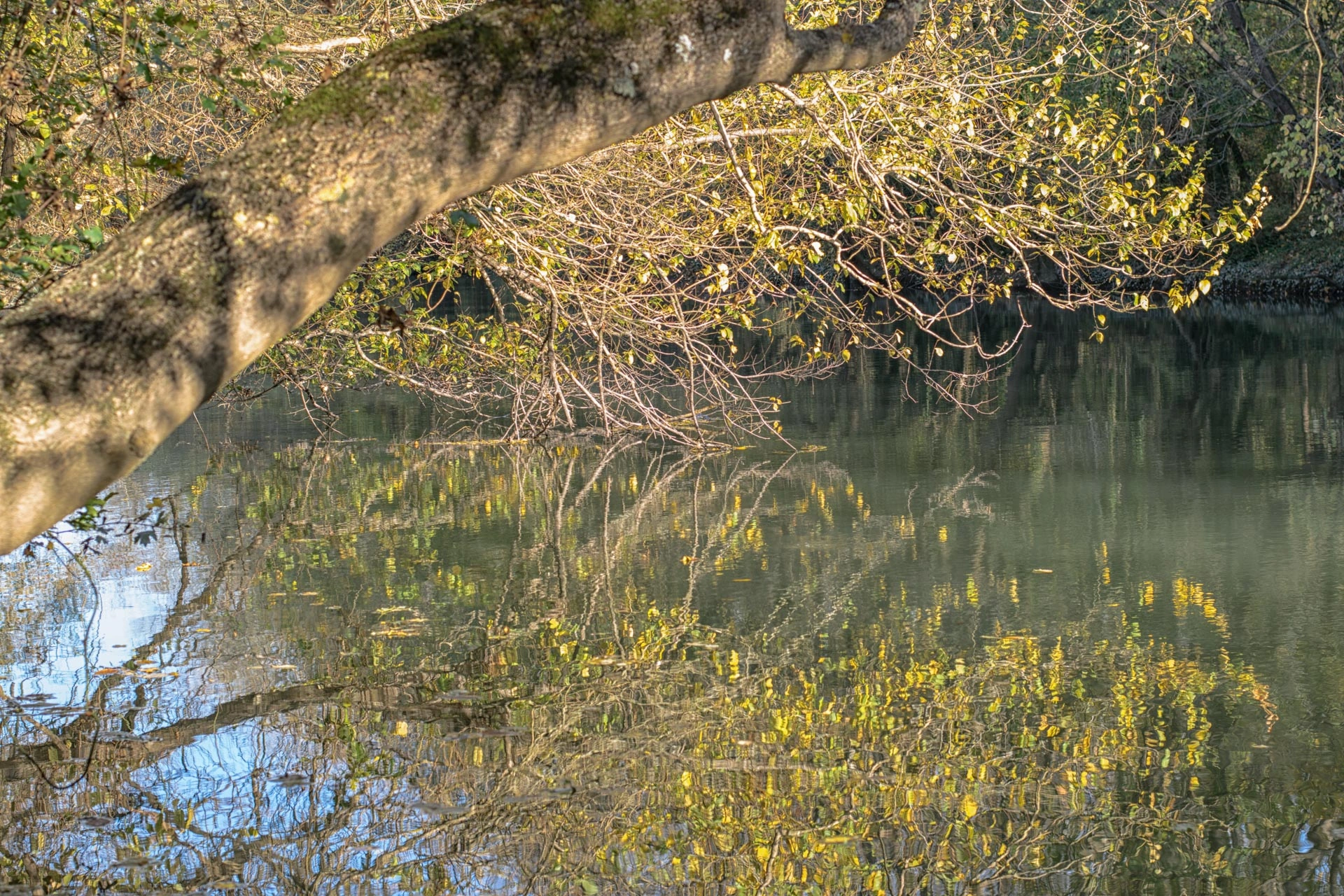 14DSC_0204-Edit