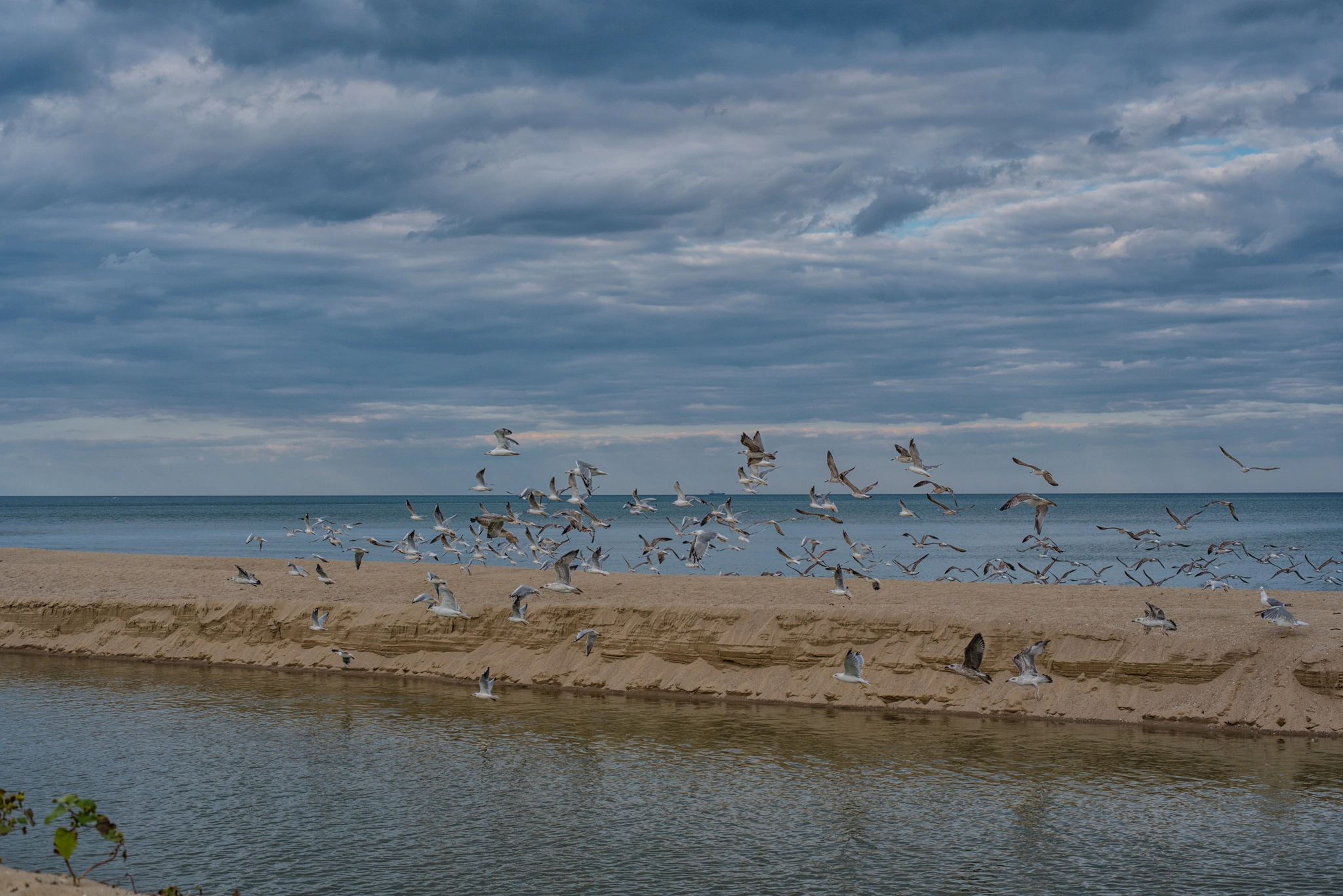 15DSC_7479-Edit