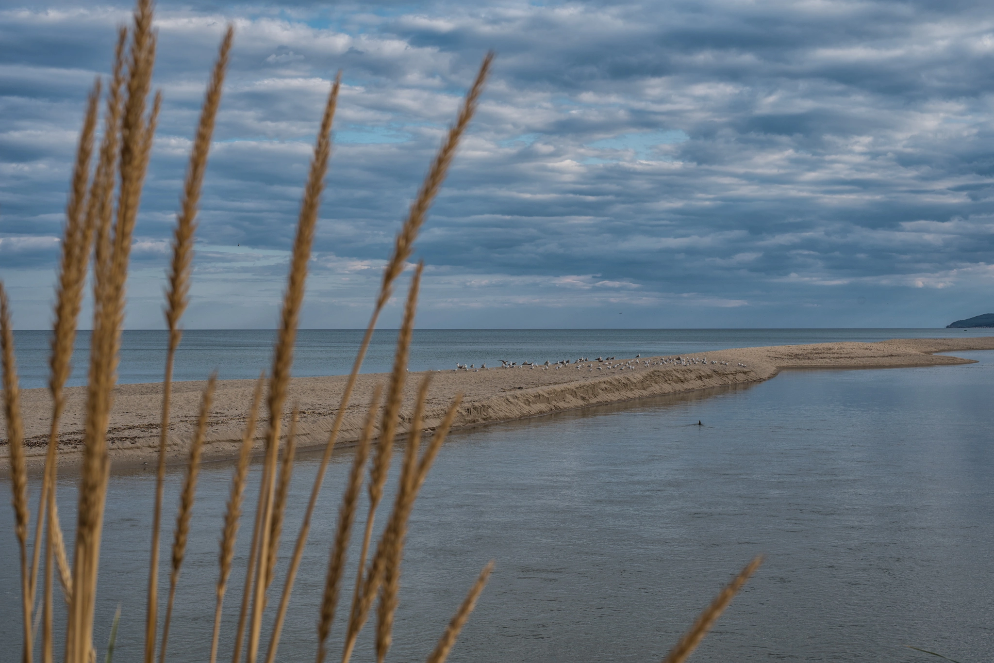 17DSC_7460-Edit