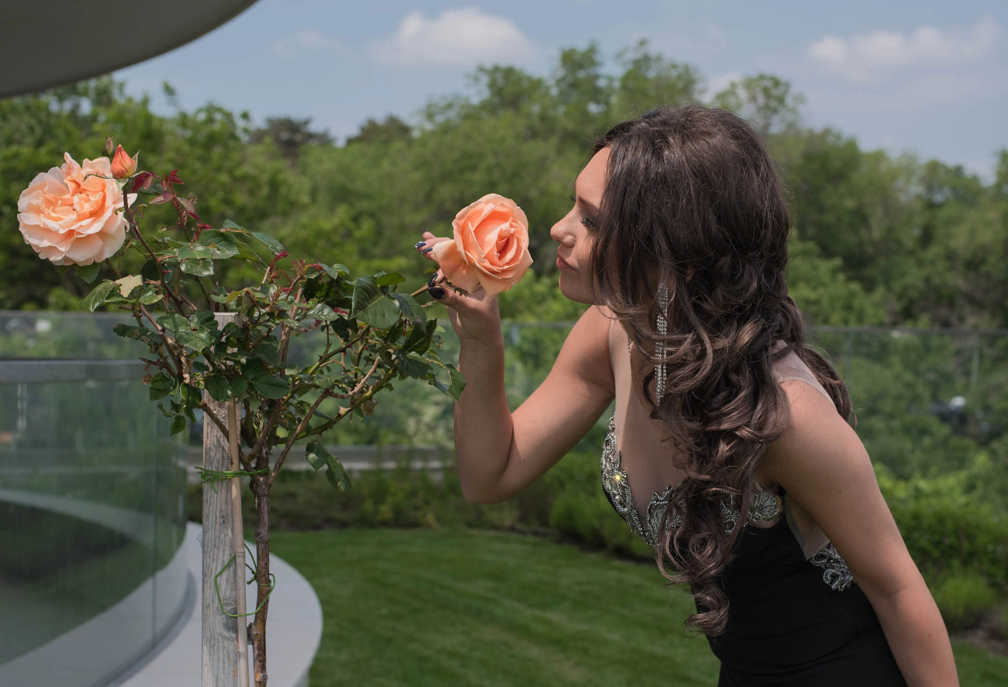 55DSC_2936