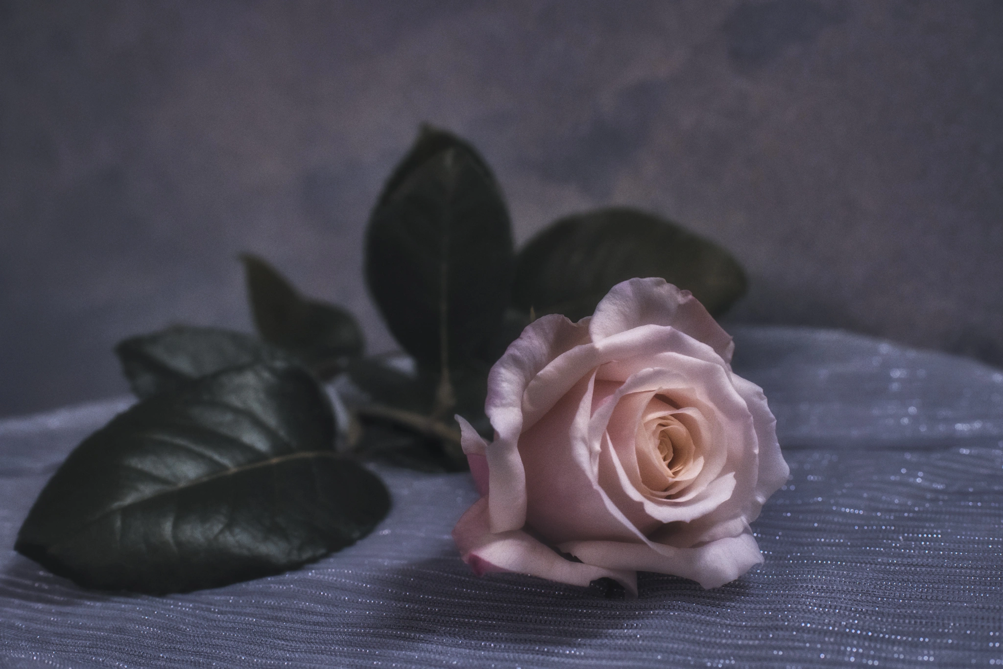 6DSC_2863-Edit