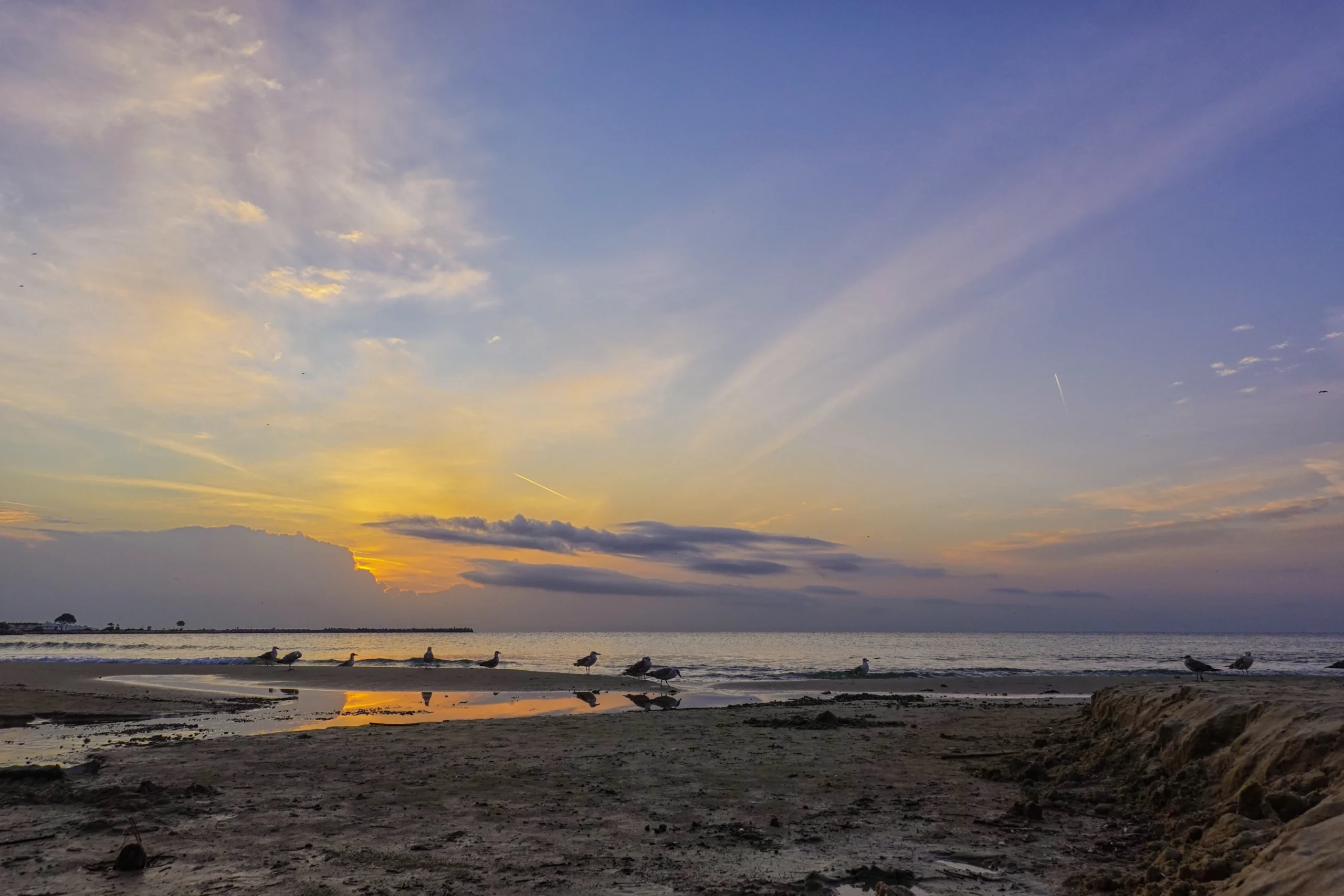 DSC01060-Edit