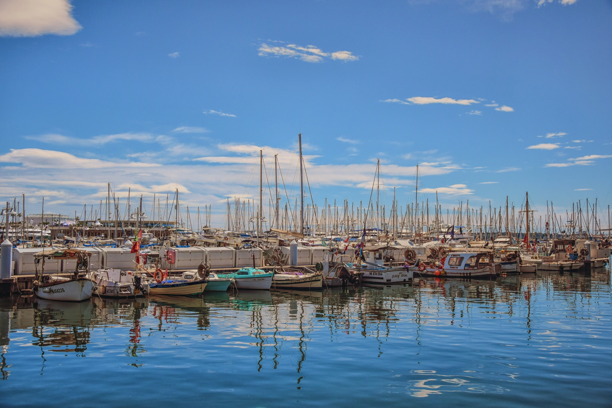 DSC_0252-Edit