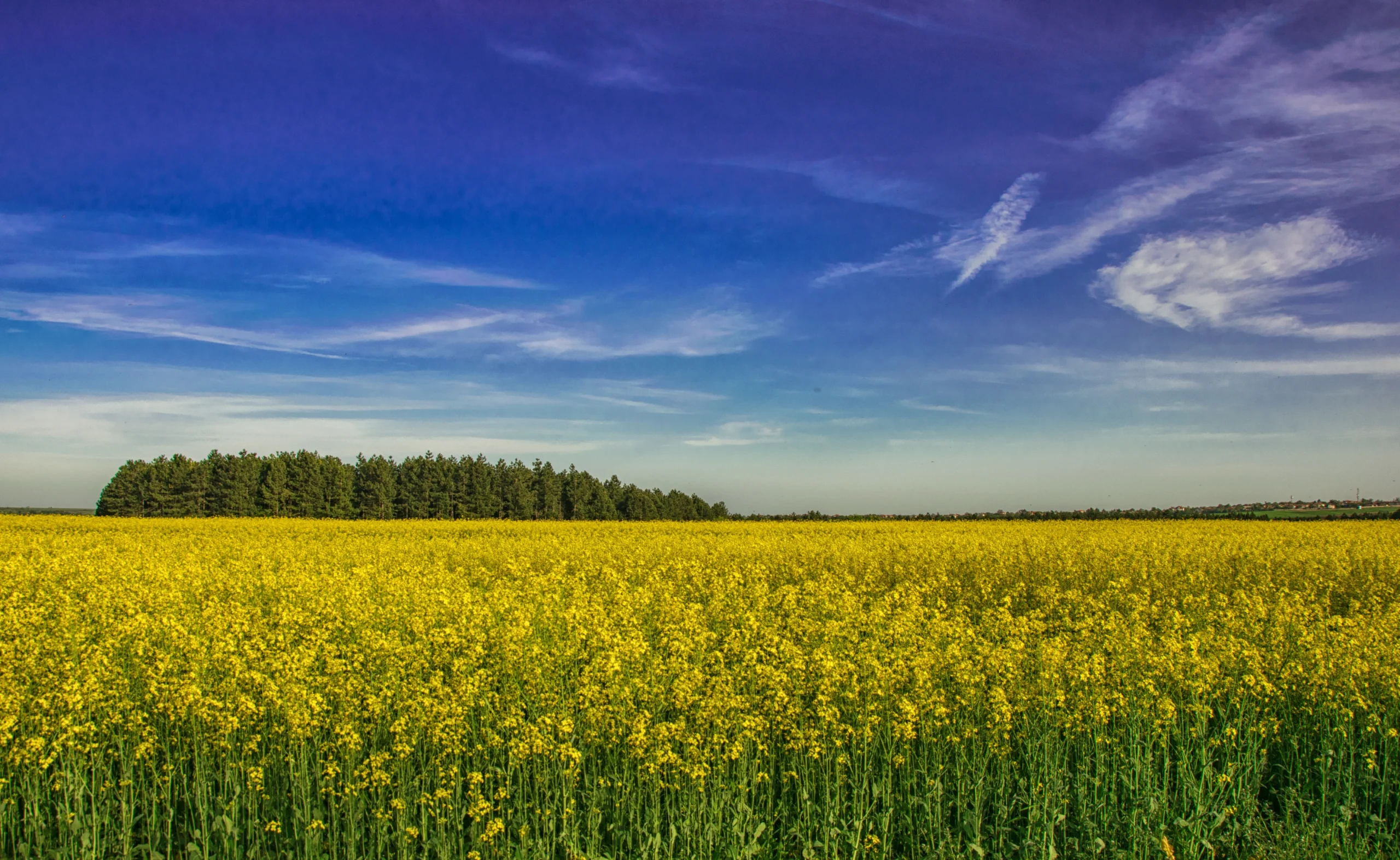 DSC_0567-Edit-4